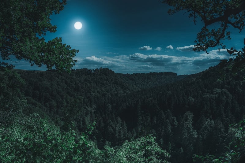 The Moon